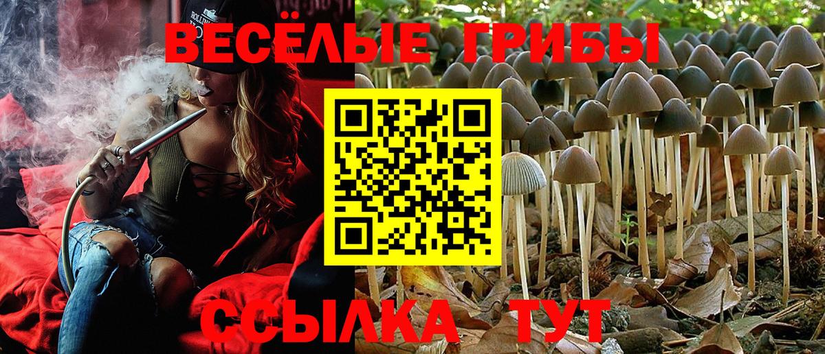 Галлюциногенные грибы прущие грибы  Вход с VPN  Губкин 